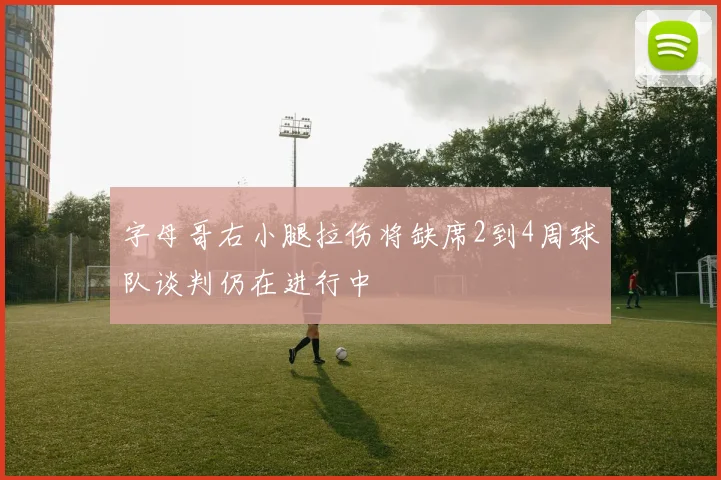 字母哥右小腿拉伤将缺席2到4周球队谈判仍在进行中